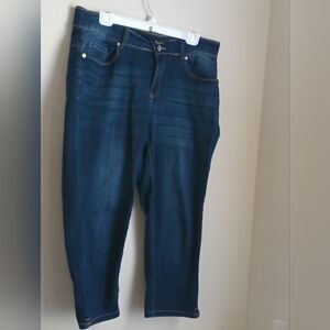 Sandpiper Jeans Women 16W Blue Classic Ankle/Cropped Denim Academia Versatile
